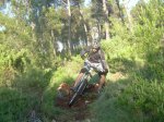 enduro 004.jpg