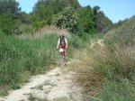 DSC02281.jpg