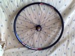 hoops trasera1 (Medium).jpg