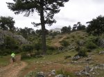 Cazorla10 (9).JPG
