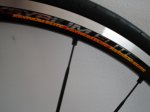 DSC04172.JPG