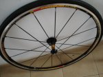 DSC04174.JPG