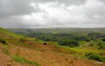 DSCN1669.jpg