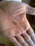 16062010199.jpg
