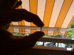 16062010200.jpg
