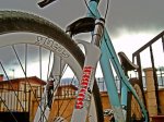 BIKE.jpg