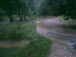 16062010491.jpg