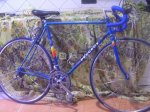 Peugeot Asturias 80.jpg