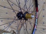 hoops traserabuje (Medium).jpg