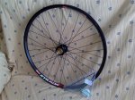 hoops traseracomplementos (Medium).jpg