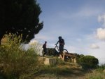 DSC07627.jpg