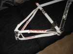 DSC01441.jpg