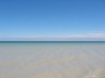 IMG_0053.jpg