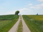 IMG_0063.jpg