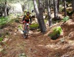 villarejo 2010 063.JPG