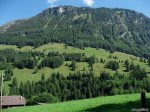 IMG_2218-green-landscape.jpg