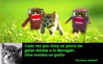 dios_mata_gatito.JPG