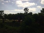 Imagen005.jpg