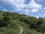 19062010828.jpg