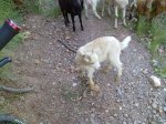 19062010817.jpg