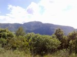 19062010830.jpg