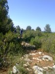 19062010761.jpg