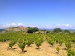 19062010768.jpg