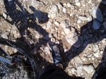 19062010080.jpg