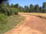 19062010059.jpg