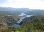 IMG_1483.jpg
