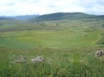 DSC02277.jpg