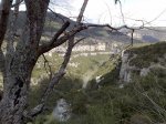23042010150.jpg