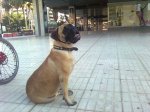 Imagen0302_1.jpg
