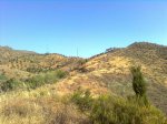 Imagen0304_1.jpg