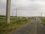 19062010012.jpg