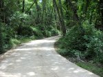 DSCN2598.jpg
