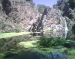 IMG00043.jpg