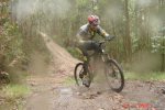 Maxxis115.jpg