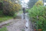 Maxxis116.jpg