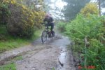 Maxxis117.jpg