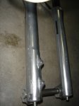 DSC01428.JPG