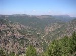 PICT0004.jpg