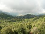 DSCN8589.jpg