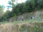 DSCN8613.jpg