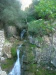 DSCN8632.jpg