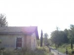 DSC01034.jpg
