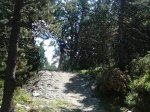 DSC00339.jpg