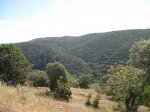 IMG_6080.jpg