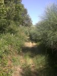 CIMG0210.JPG