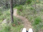 IMG_3355.jpg